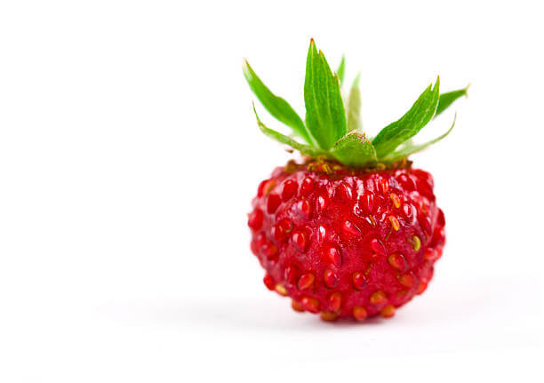 산딸기 효능 14가지, 칼로리, 종류, 재배기간 및 부작용'까지 참고하시기 바랍니다.