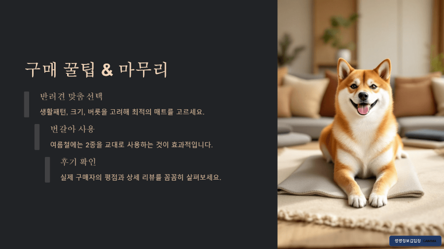 여름 강아지 쿨매트 추천 후기 / 구매 꿀팁