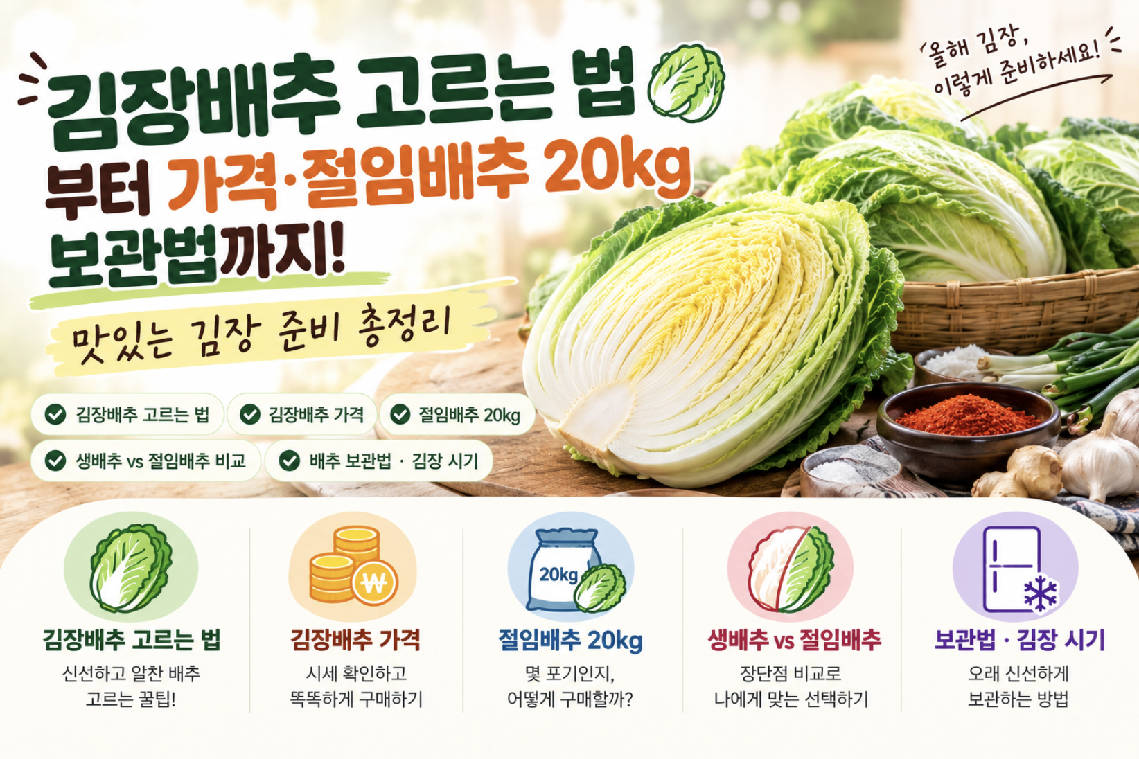 김장배추 고르는 법부터 가격·절임배추 20kg·보관법까지! 맛있는 김장 준비