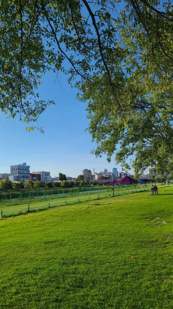 중랑천파크골프장1