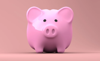 고흥-민생지원금