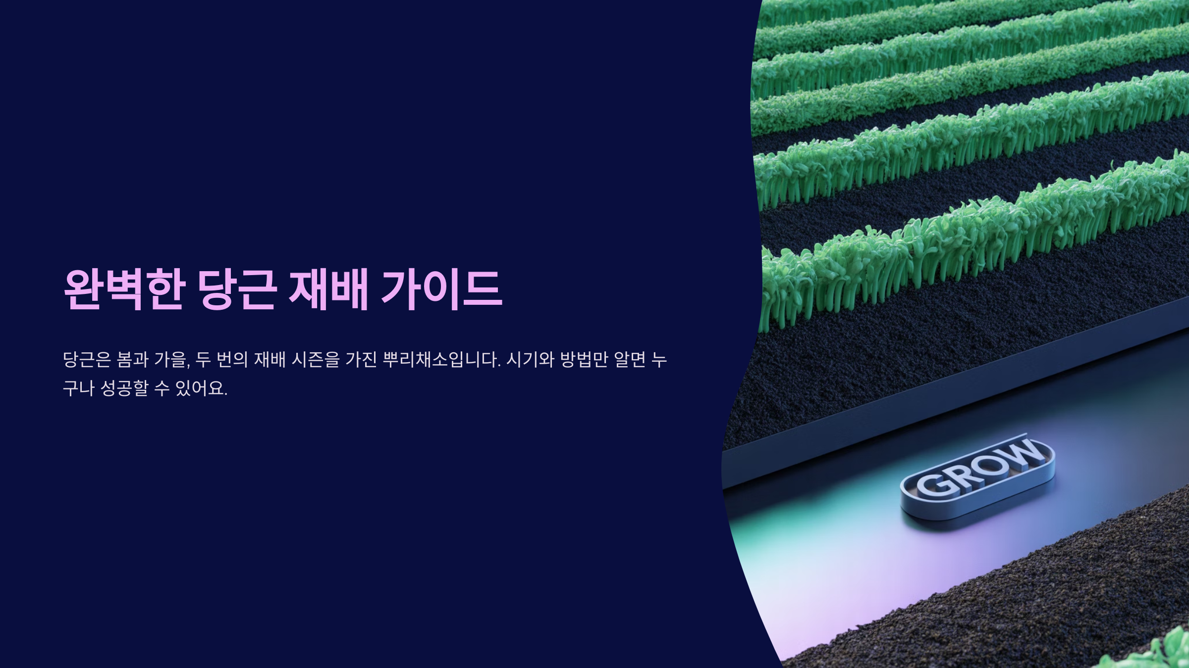 당근 심는 시기, 봄과 가을 언제가 좋을까? 🌱