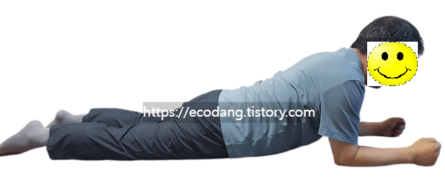 엎드려서 하는 맥켄지 신전 동작 3단계