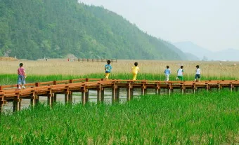 순천 가볼만한곳 베스트10 순천만 갈대밭 숨겨진 명소_3