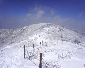 태백산 국립공원 실시간 cctv_28