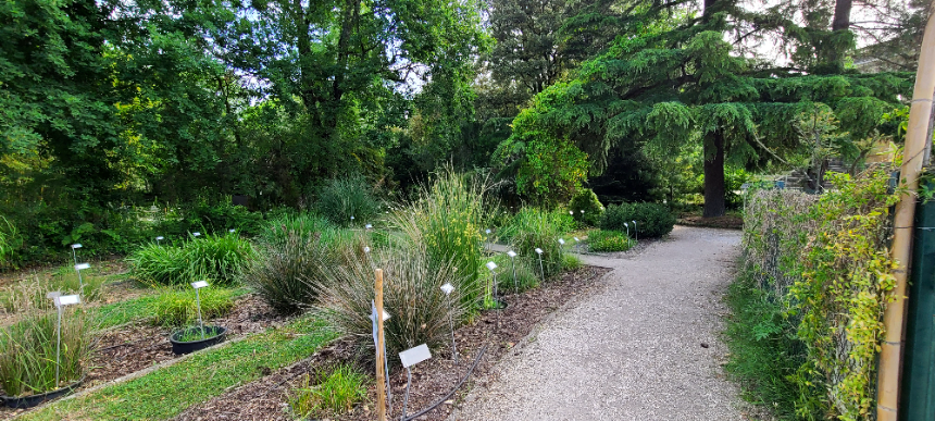 듀 쟈흐당 쀼블릭 식물원