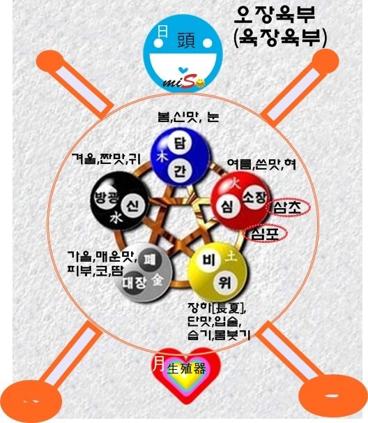오장육부란