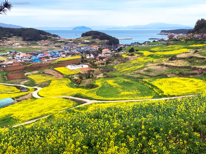 청산도 사진