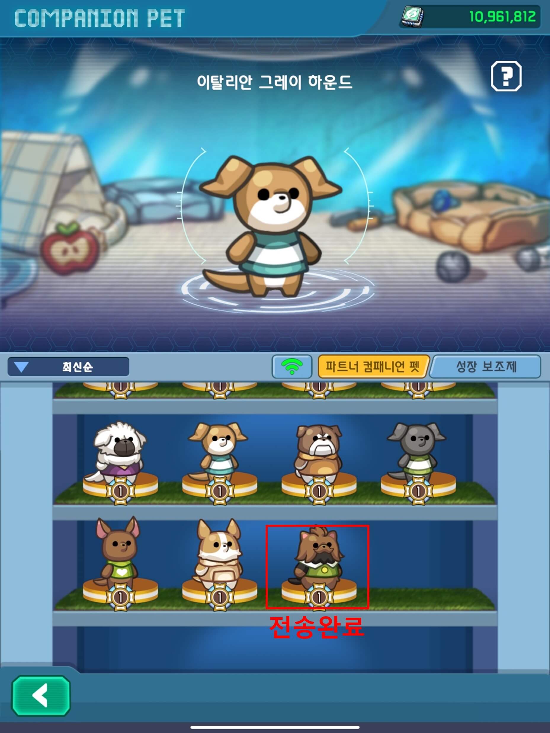 NFT 포메 서바이벌로 전송하기8