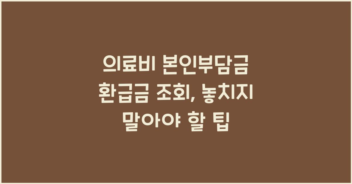 의료비 본인부담금 환급금 조회