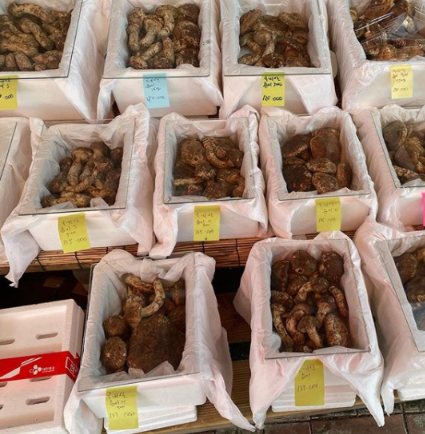 자연산 버섯가게 산드레