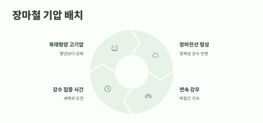 2025년 장마기간 바로 보기 9