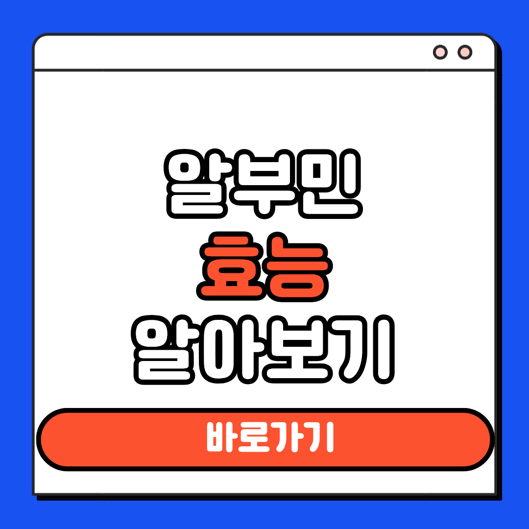 알부민 효능