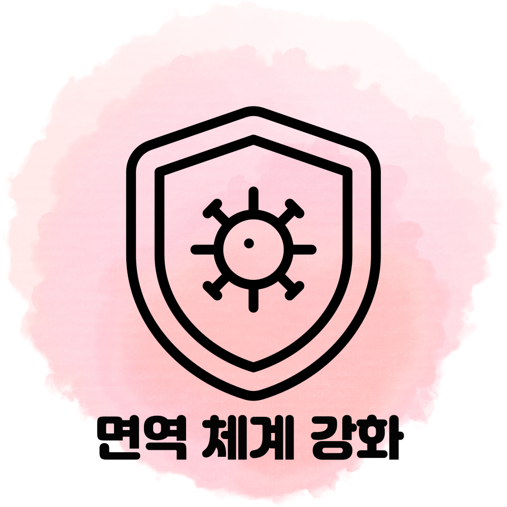 면역체계강화