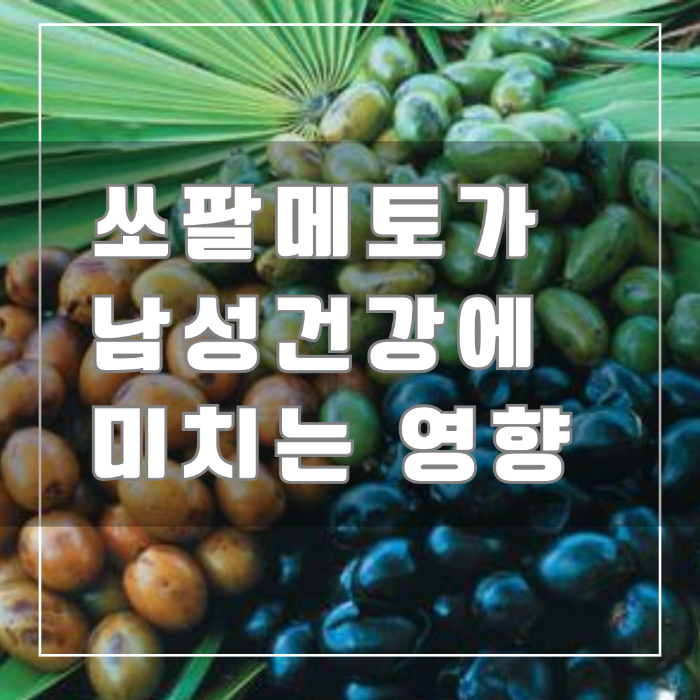 쏘팔메토가 남성 건강에 미치는 영향