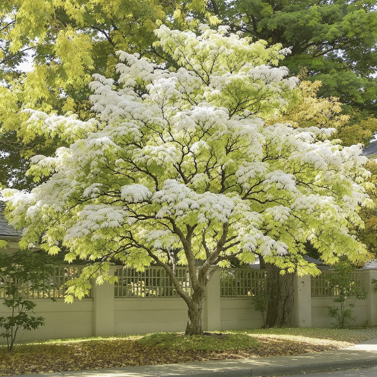 햇빛, 똑똑한 밀고 당기기