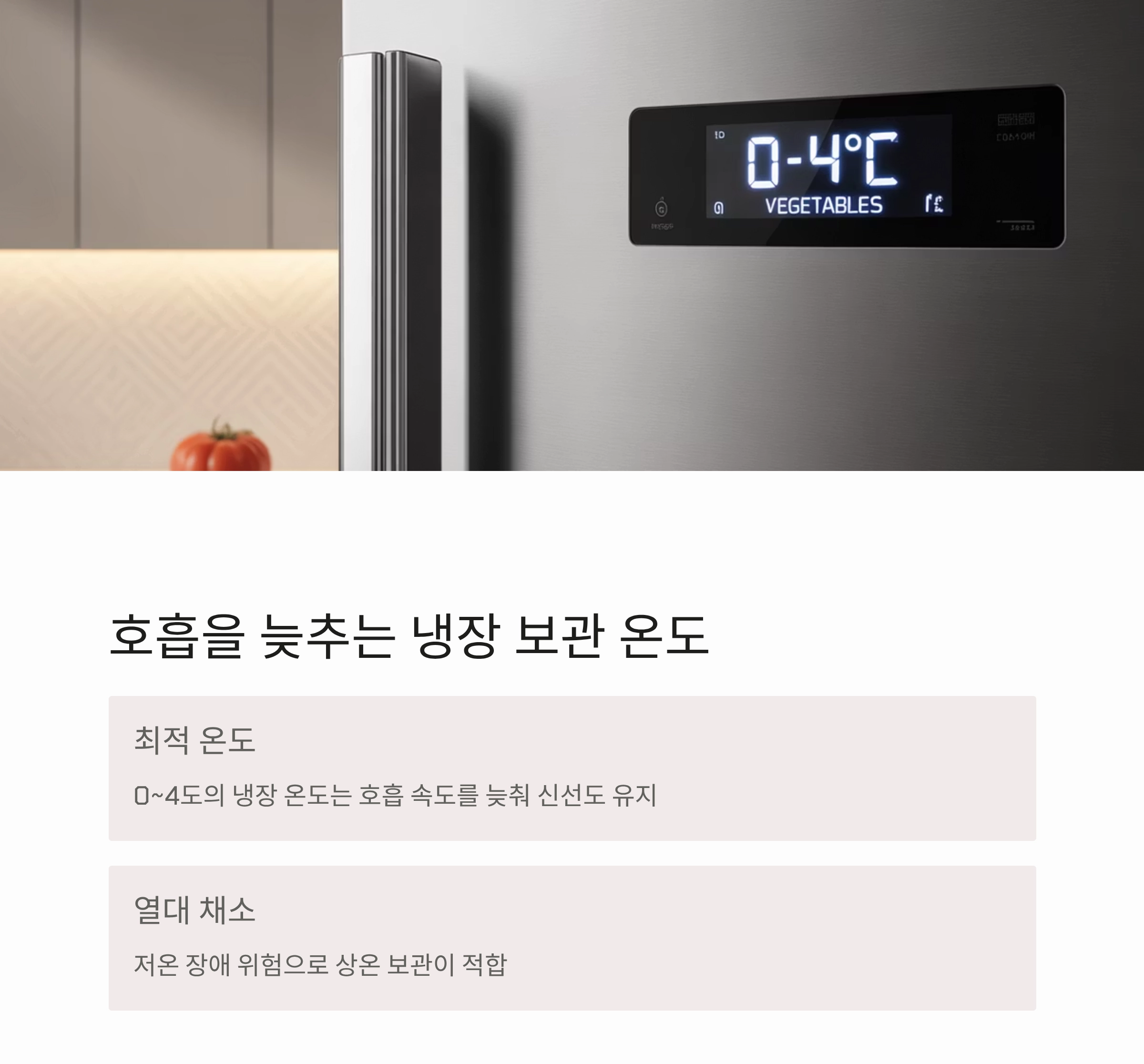 채소 오래 보관하는 과학적인 방법, 신선함 지키는 비밀