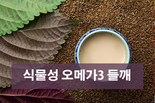 식물성 오메가3 들개, 호두, 아마씨 먹는 방법