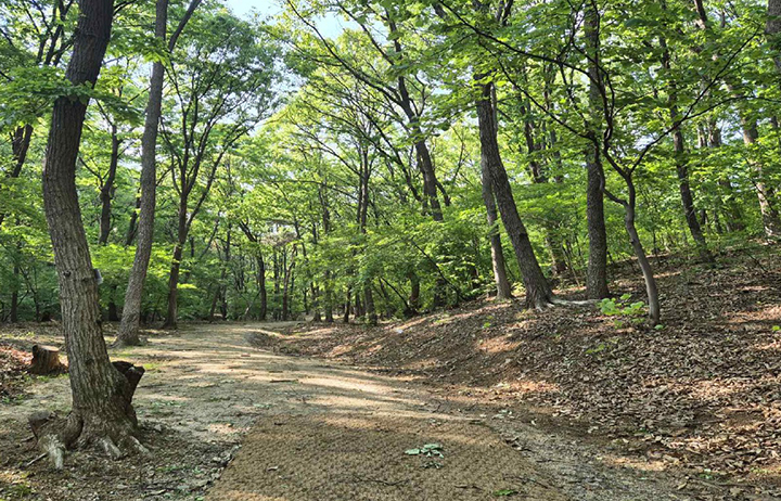 구리 동구릉 휘릉~원릉 숲길 (사진=국가유산청)