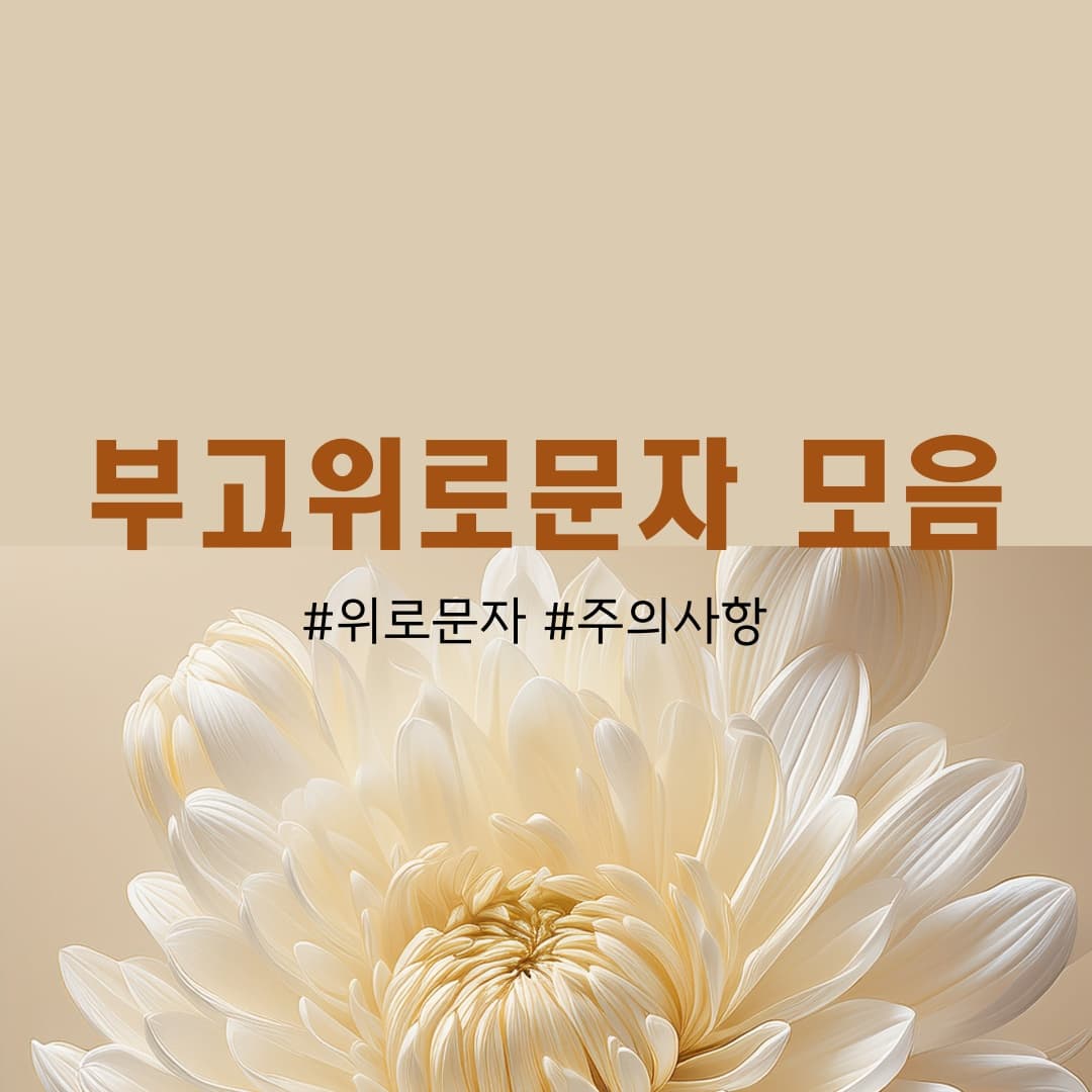 부고 위로 문자 모음|친구·상사·후배에게 상황별 예의 바른 메시지
