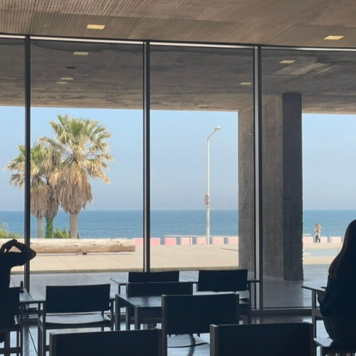 제주공항 주변 근처 맛집 진정성 카페