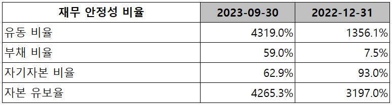 나노신소재 - 재무 안정성 비율