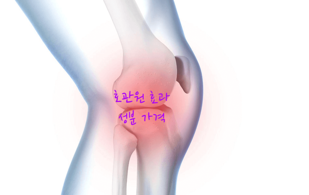무릎관절