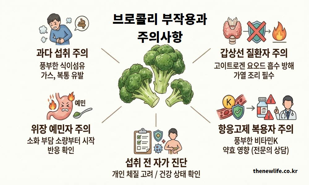 브로콜리 효능의 주의해야 할 부작용 안내 이미지