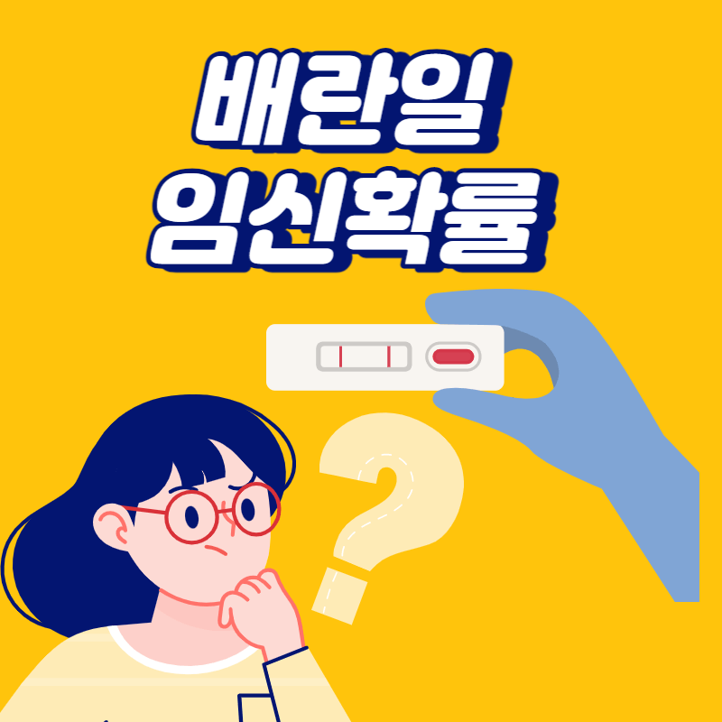 배란일 임신확률