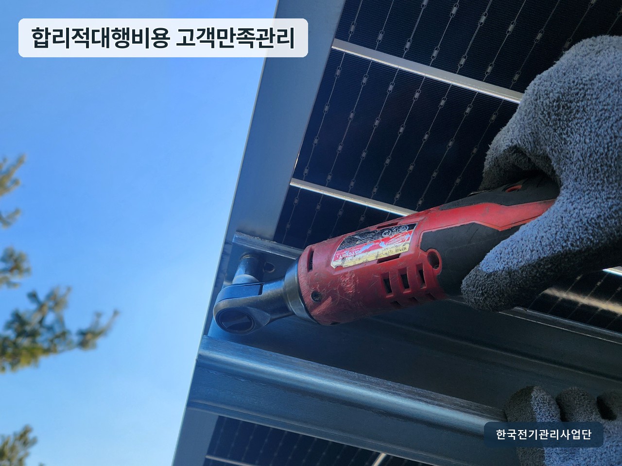 사진 2