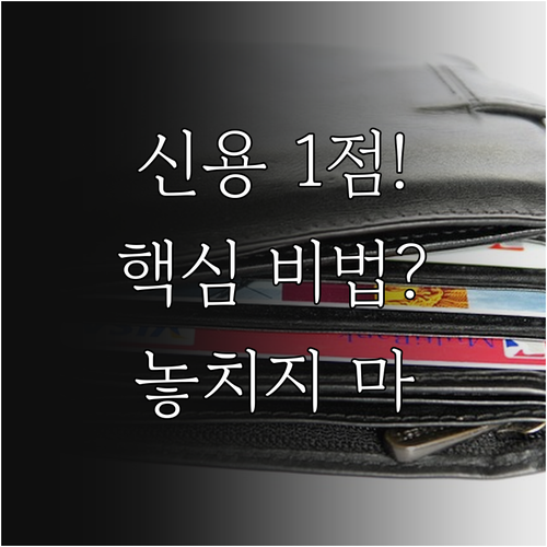 신용점수 1점 단위 세밀 관리 비법 ..