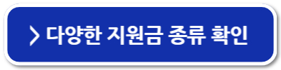 청년 구직 활동 지원금