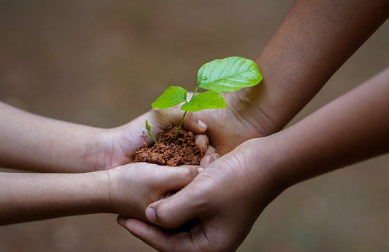 설-명절-정부-지원금