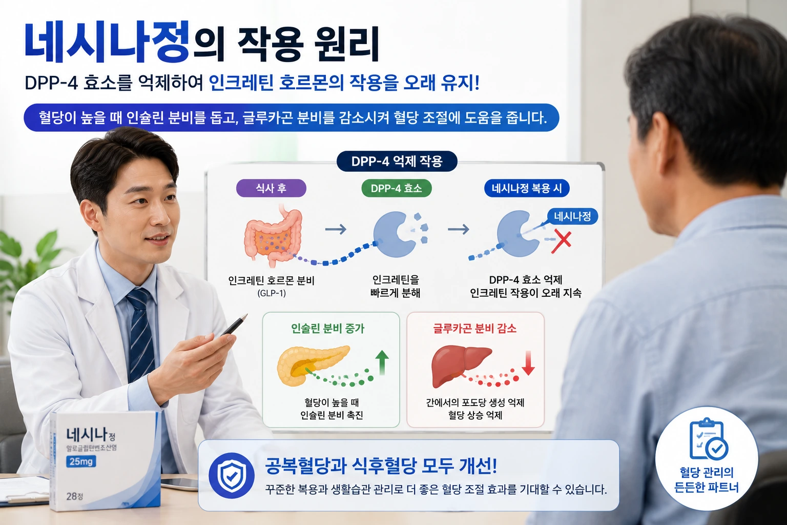 02_작용원리_네시나정