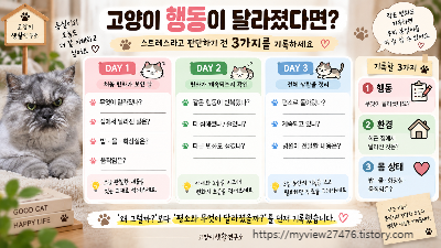 고영희씨들 스트레스 증상부터 찾지 않았습니다 15살 노묘의 ‘평소 행동’을 기록하는 이유