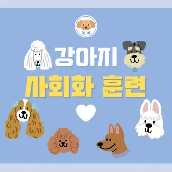 강아지가 다른 강아지 싫어하는 원인과 해결법_15