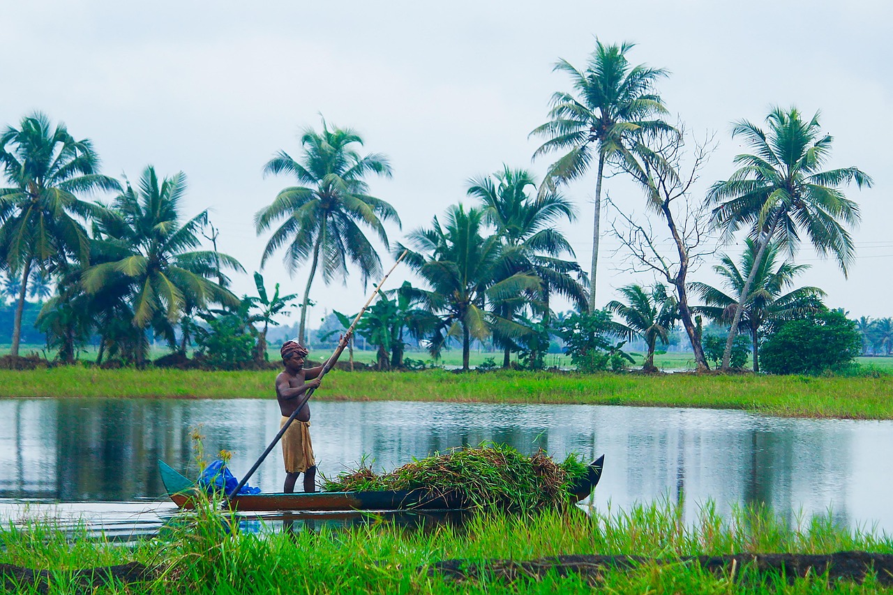 AI가 관리하는 수자원 배분 시스템