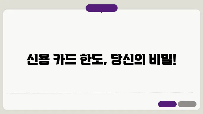 신용 카드 신청 한도