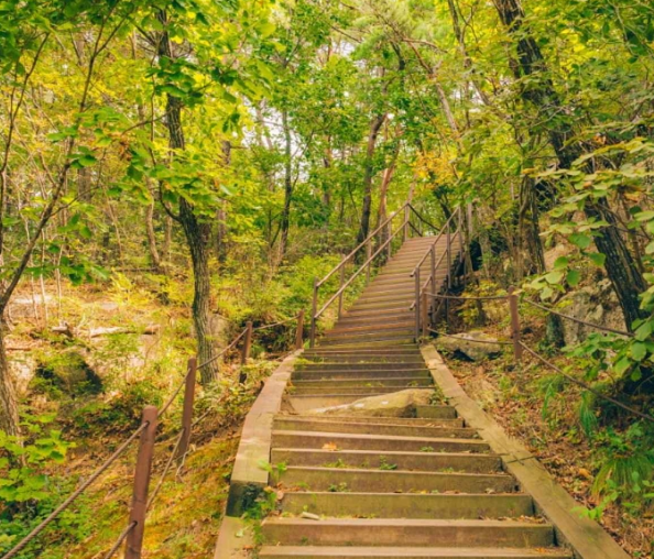 보은 가볼만한곳 베스트10