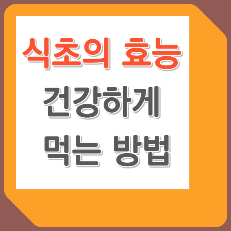 식초의 효능 및 건강하게 먹는 방법