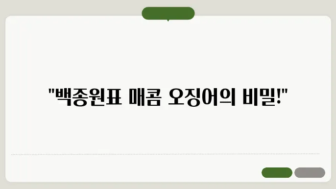 백종원 오징어볶음 레시피