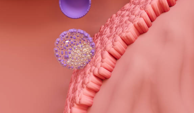 리포좀글루타치온 완벽정리. 흡수율부터 효과, 구매 체크포인트까지