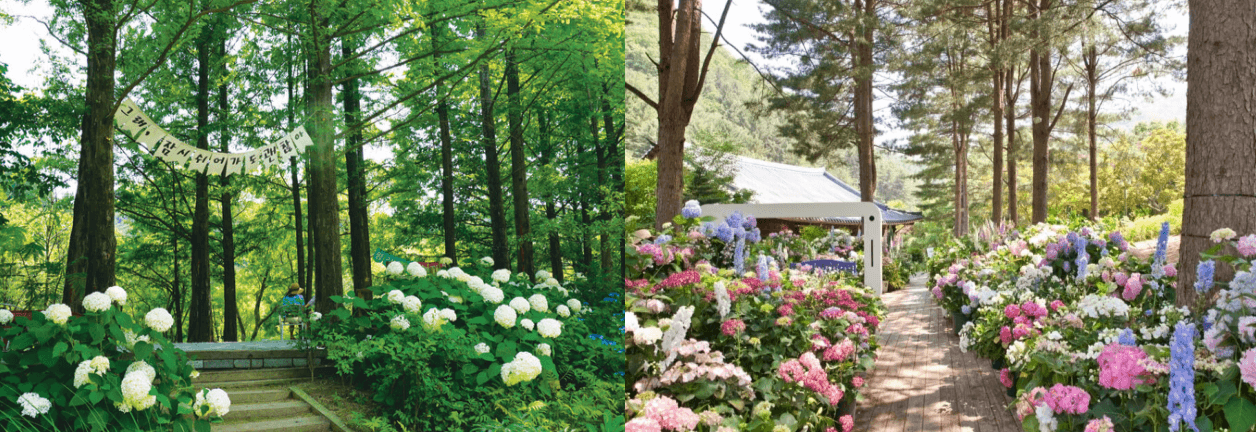 수도권 수국정원