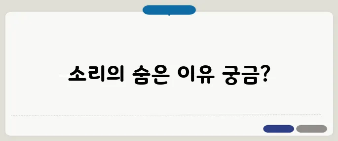 귀에서 소리가 나는 이유 이명? 고혈압? 원인 다양