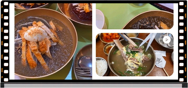 전현무계획2 진주 진주냉면 육전 후기