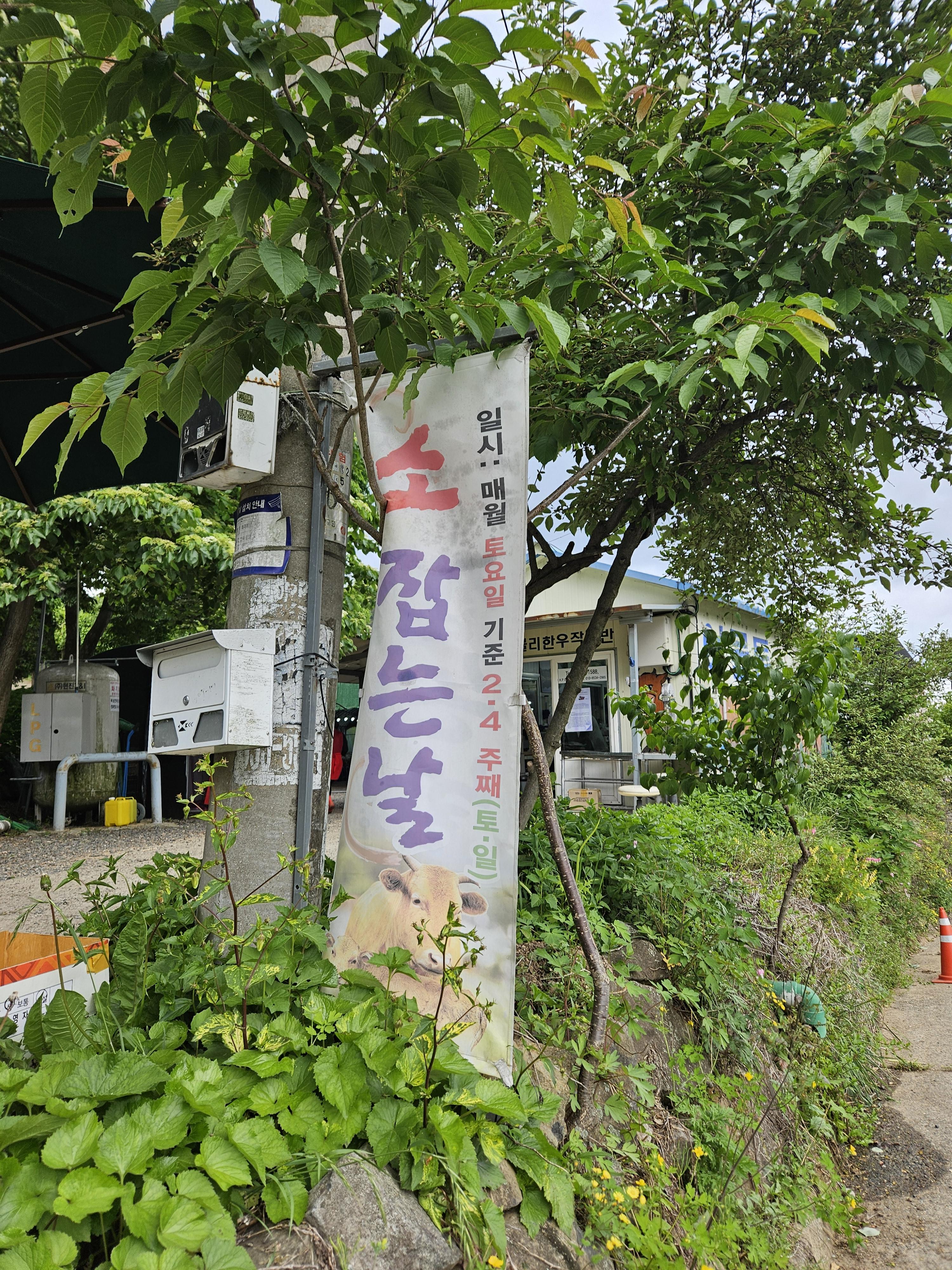 한달에 4번 밀양 여물통 한우 내돈내산