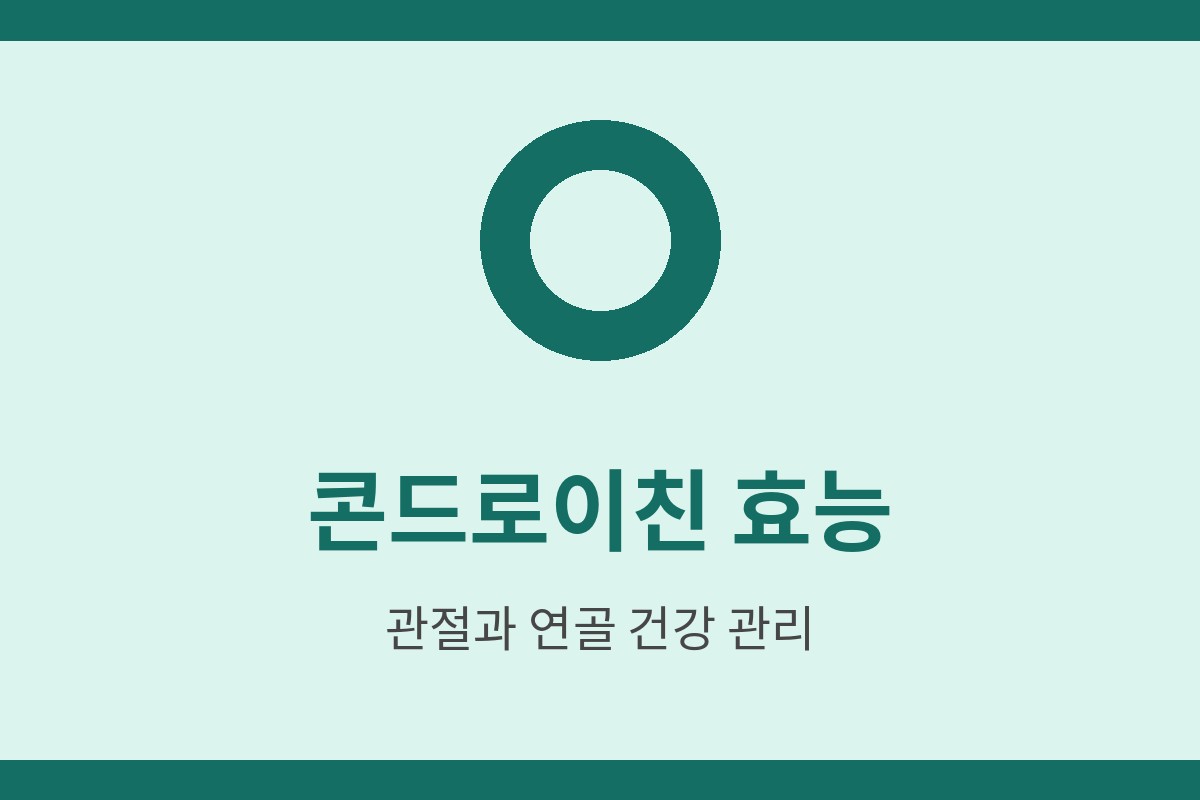 콘드로이친 효능