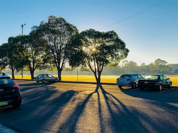 숨은 보험금 찾기 조회