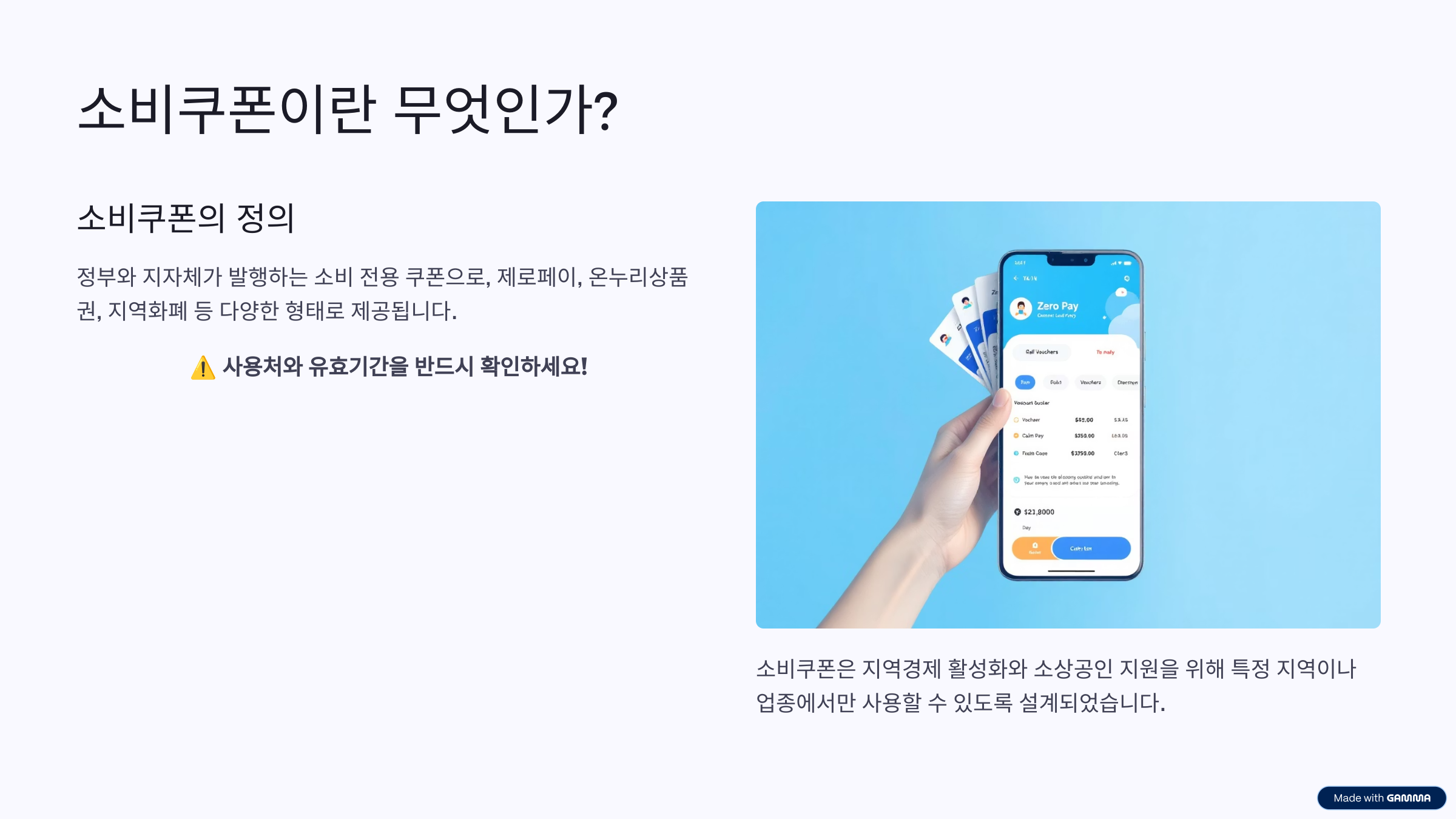 소비쿠폰 주요 혜택 카드