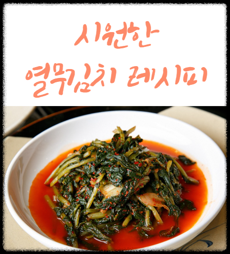 열무김치 레시피